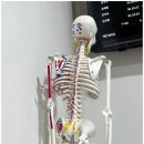 월드원짐 이미지