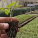 도원2농장 이미지