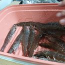 영덕종합식품