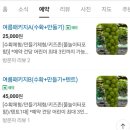 가람환경 | [연천] 들꽃가람농장 수박 수확 체험 후기(내돈내산, 꿀팁 공유)