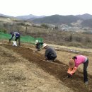 아름농장 이미지