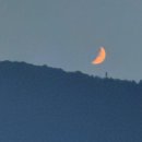 용용선생 대구수성못집 네이버블로그