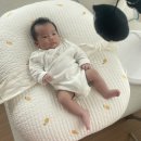 유아 발달 체조(엄마랑아가랑) | 3개월 아기 장난감 추천, 아기체육관 고리친구들 꼬꼬맘 등 후기