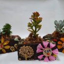 국립자연휴양림관리소(동부지역팀 청태산자연휴양림) | 국립자연휴양림, 산림복지바우처 비대면 활용방안 제시