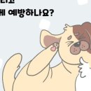 동물병원도담도담 이미지