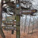 [한남금북정맥_6구간] 행치재~금왕산단삼거리 (큰산~보현산~소속리산)