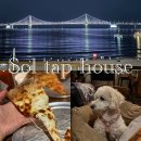 삼정대박식당 | 부산 광안리 애견동반 맛집 솔탭하우스 광안대교 대박