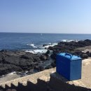 춘심이네 식당 이미지