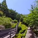 중앙공원 산책로 이미지