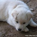 수주농원 이미지