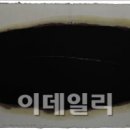 자연이스밈