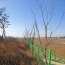 장명초등학교 이미지