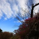 지리산의 아침 이미지