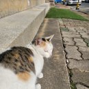 김해김씨빌딩 이미지