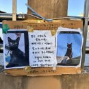 건지미길 | 2🐴26