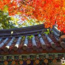 (주)제주파랑새관광여행사 이미지