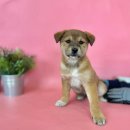 서정1리마을회관 이미지