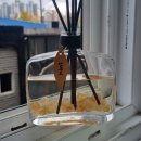 밍블랑 이미지