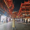 상해 여행 후기/ 예원, 헌 지우 이치엔