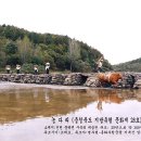 농다리 이미지