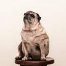 더라온메디칼 이미지