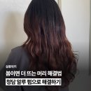 채윤 살롱 | 봄이면 더 뜨는 머리 해결법 청담 알루 펌으로 해결하기