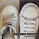 운동화세탁 | 김해 명품신발세탁 아워리페어에 알렉산더맥퀸 운동화 세탁맡긴 후기