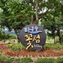 한반도섬 이미지