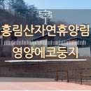 흥림산자연휴양림 | [경북 영양] 공립 영양에코둥지(흥림산자연휴양림)