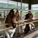 호황농장 이미지