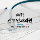 송향산부인과의원 네이버블로그