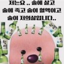 매일크리스마스 이미지