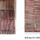 영산포식당 티스토리