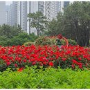 대림강변타운 상가 이미지