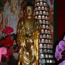 제주 정광사 소조미륵여래입상 이미지