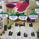 기능성신발슈올즈