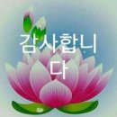 인행 이미지