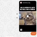 월간기록 | 2024년 4월