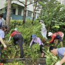 정자1동행정복지센터 이미지