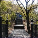 장미길코스 이미지