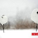 록산(綠山) 이미지