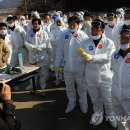 김영만농장 이미지