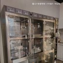 웰니스동물병원스타필드