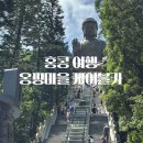 홍콩 란타우섬 옹핑마을 | 옹핑 360 크리스탈 캐빈 케이블카 후기 | 홍콩여행 2회차 추천코스