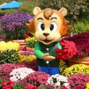 오월드2 이미지