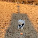 베이크오엘