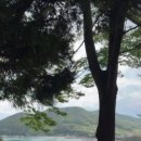 류홍성냉면 이미지