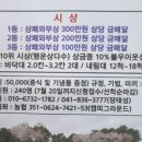 법인캠피그라운드