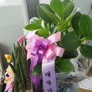 성원당구장 이미지