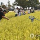 백산조수골마을 | &#39;가을 여행 오세요&#39;…전북도, 농촌 여행지 9곳 선정